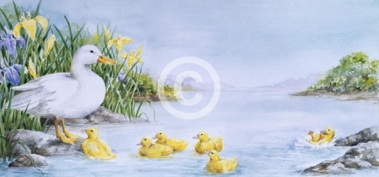 3 Fold Ducks